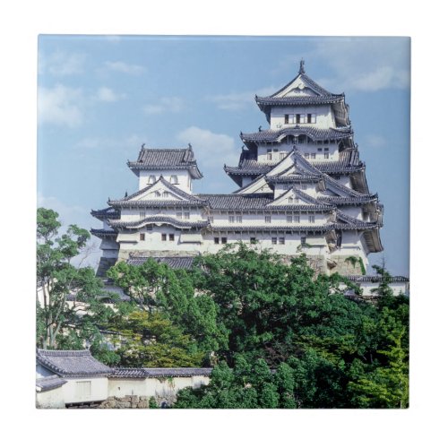 Himeji Castle _ Japan Ceramic Tile