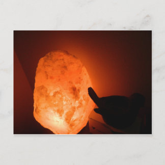 Himilayan Salt Lamp with Bird Postcard