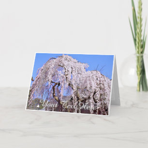 Himuro Shrine Card