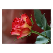 Hindi - I love you (Front Horizontal)