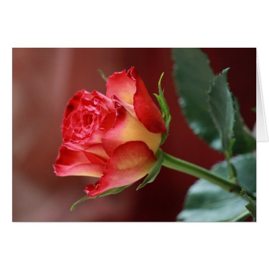 Hindi - I love you Cards (Front Horizontal)