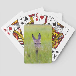 hinding deer poker cards