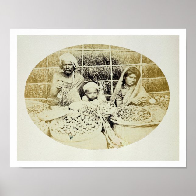 Hindu Vegetable and Fruit Sellers in Madras, 19th Poster (Front)