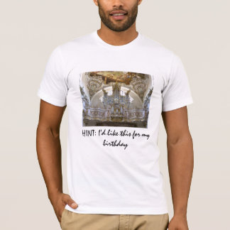 HINT: I'd like this for my birthday - Steingaden T-Shirt