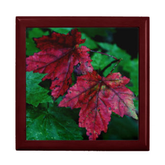 Hint of Autumn Gift Box