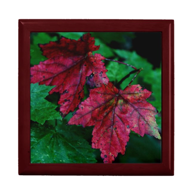 Hint of Autumn Gift Box (Front)