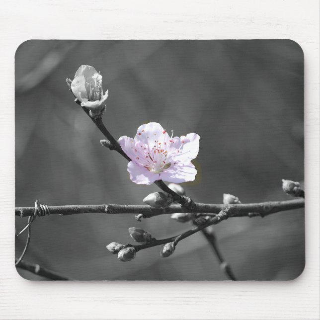 Hint of Pink Cherry Blossom Mouse Pad (Front)