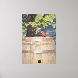 Hint of Red Canvas Print