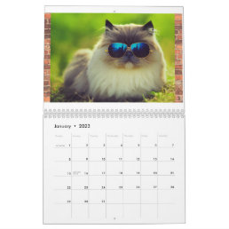 Hip Cool Cats 2023 Calendar, Wall Calendar Planner
