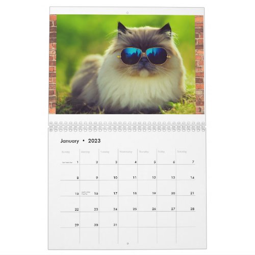 Hip Cool Cats 2023 Calendar Wall Calendar Planner