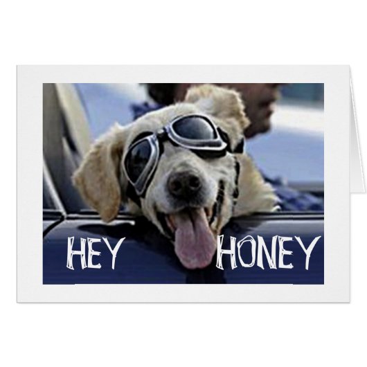 HIP DOG SAYS "HEY HONEY WILL YOU BE MY VALENTINE?" (Front Horizontal)