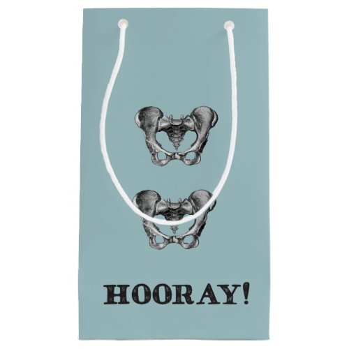 Hip Hip Hooray Anatomy Message Small Gift Bag