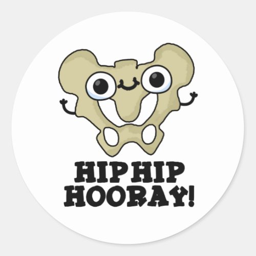 Hip Hip Hooray Funny Anatomy Pun Classic Round Sticker