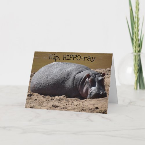 Hip Hip Hooray Hippo Birthday Card