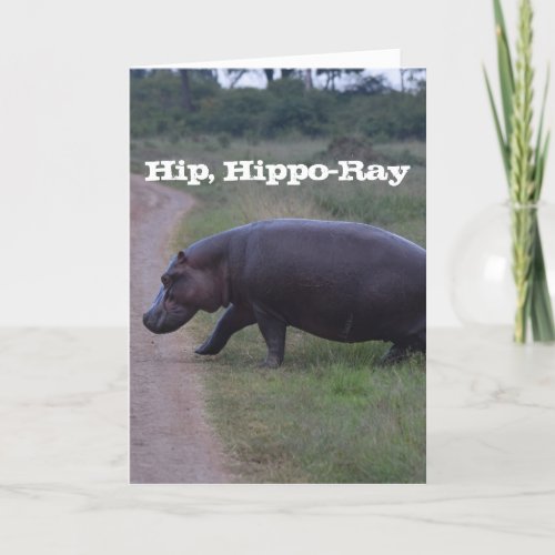 Hip Hippo Hooray Birthday   Card