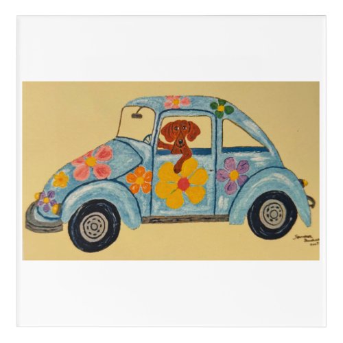 Hippie Dachshund in car  Acrylic Print