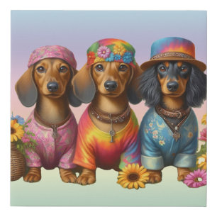 Hippie Dachshunds Canvas Print