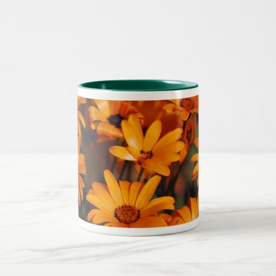 Hippie daisy flower symbolism Two-Tone coffee mug