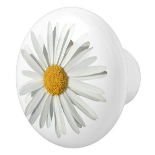 Hippie White Daisy Flower Blossom - Trendy Fashion Ceramic Knob