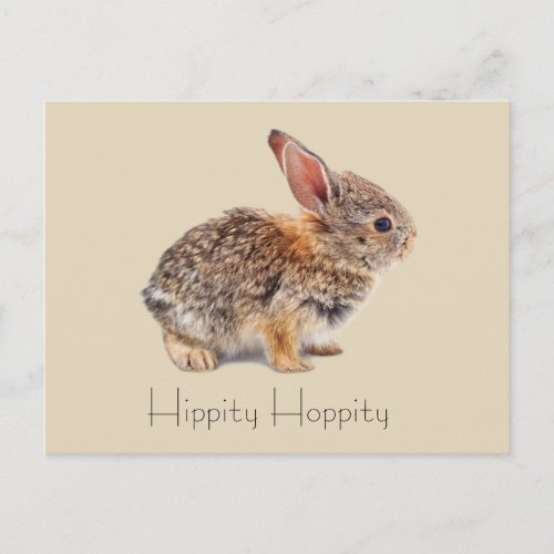 Hippity Hoppity Cottontail Rabbit Postcard