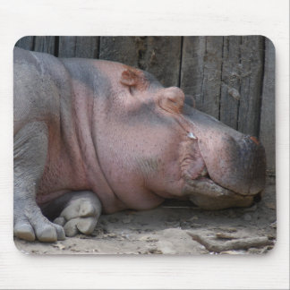 hippo2-4 mouse pad