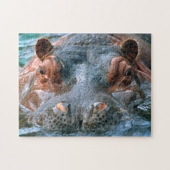 Hippo #1 Jigsaw Puzzle by rgkphoto at Zazzle