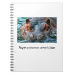 Hippo#1 Notebook at Zazzle