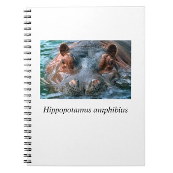 Hippo#1 Notebook by rgkphoto at Zazzle