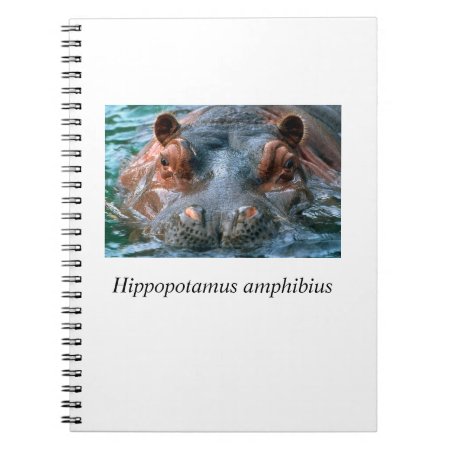 Hippo#1 Notebook
