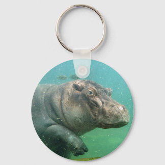 hippo-2 keychain