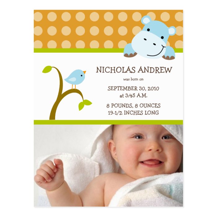 Hippo and Birdie Baby Boy Birth Announcement Post Cards