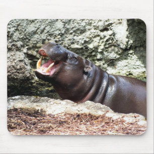 Hippo animal mouse pad