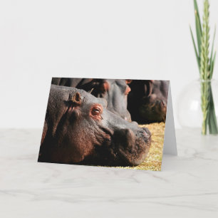 Hippo attitude customizable card