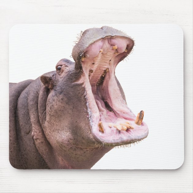 hippo mouse pad