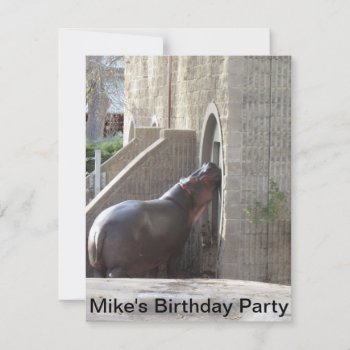 Hippo Birthday Party Invitation by Rinchen365flower at Zazzle