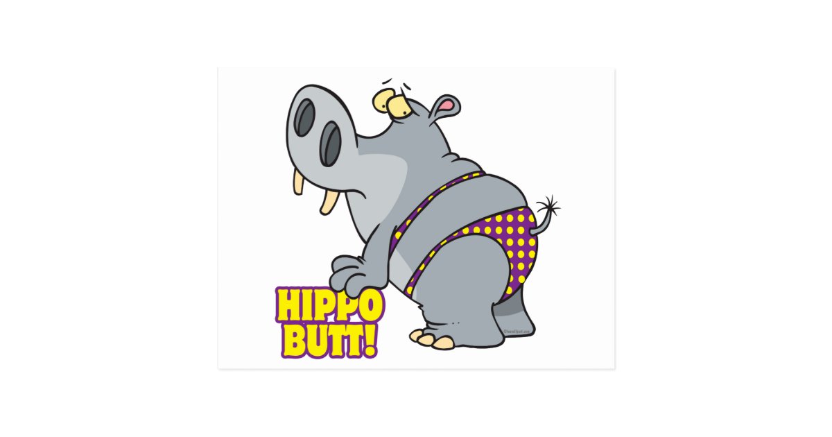 Hippo Butt Bikini Hippopotamus Postcard Zazzle