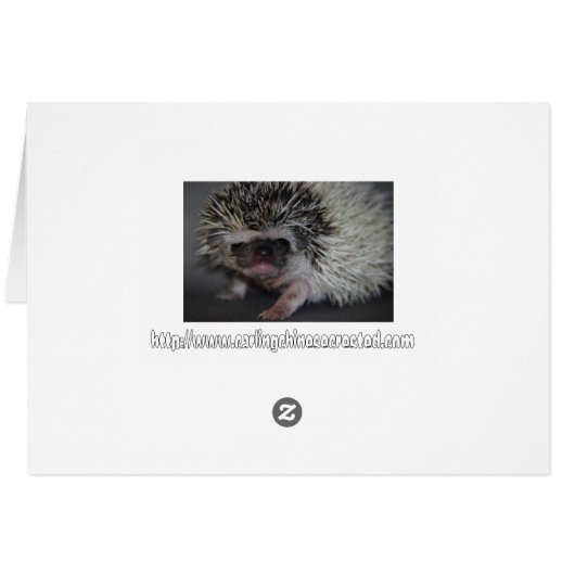 Hippo? Card (Back Horizontal)