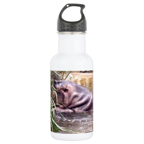 Hippo Determination Water Bottle