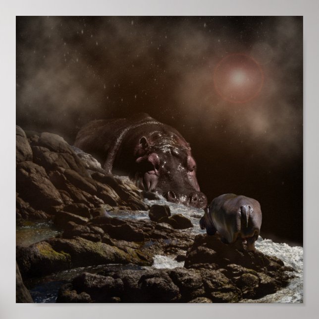 Hippo Enchanting Evening, Poster (Front)