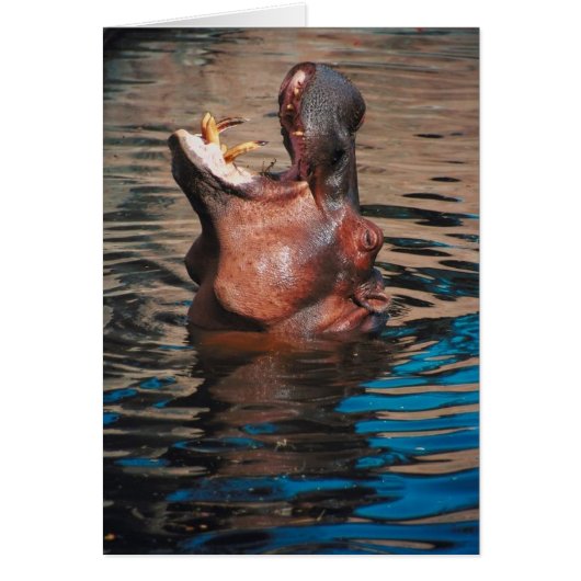 Hippo Head Cards (Front)