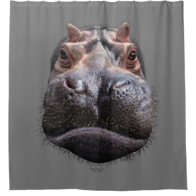 Hippo Head Shower Curtain (Front)