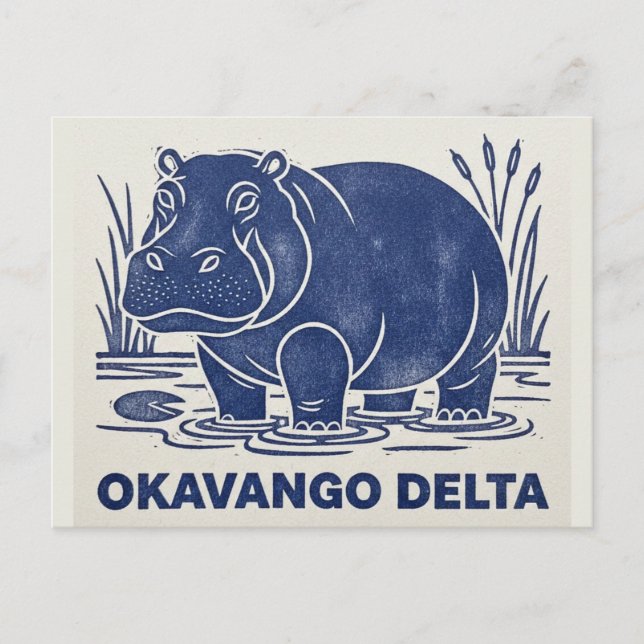 Hippo in Okavango Delta Botswana Postcard (Front)
