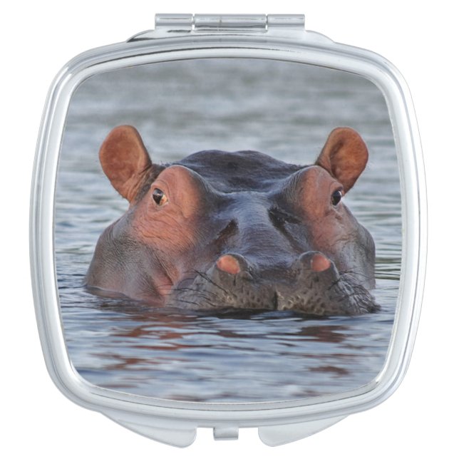 Hippo in water compact mirror (Front)