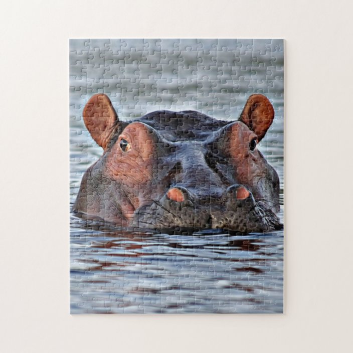 hippo jigsaw puzzle | Zazzle.com