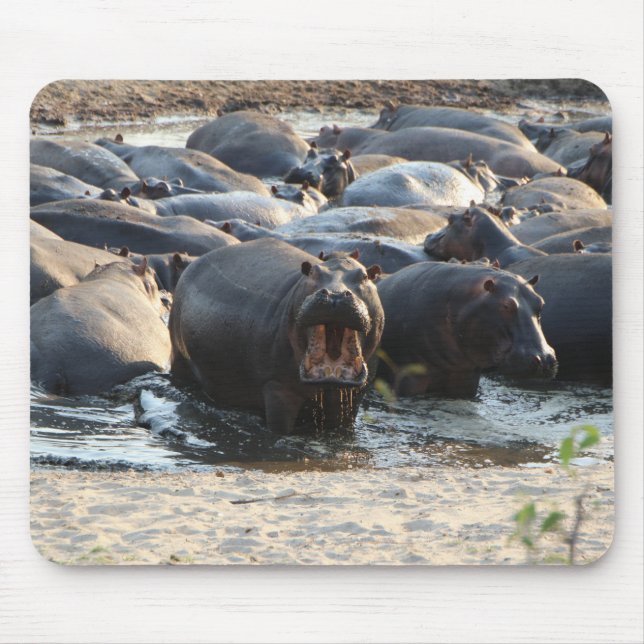 Hippo mouse pad (Front)
