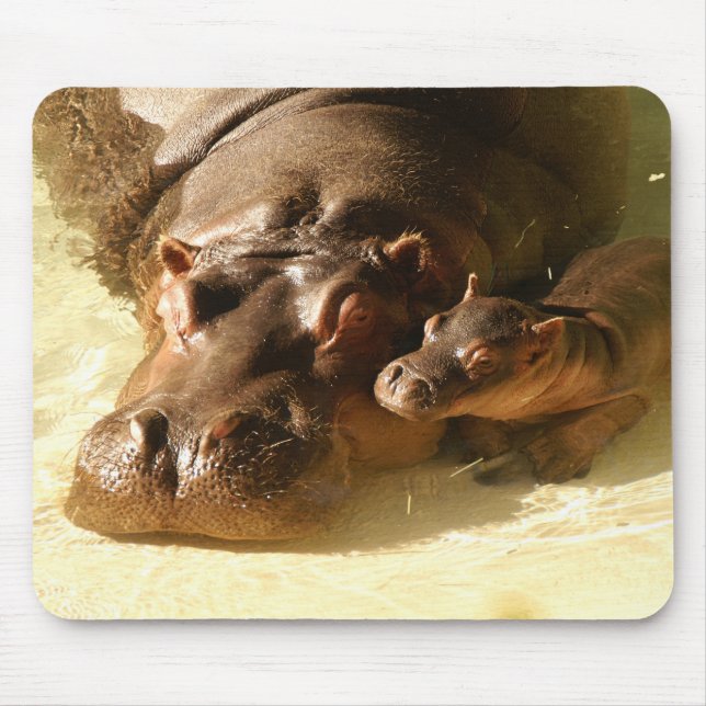 hippo mousepad (Front)