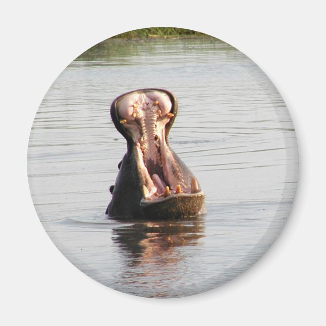 Hippo mouth (round or square magnet) magnet (Front)
