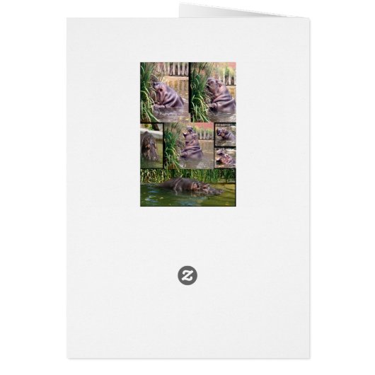 Hippo Photo Collage, (Back)