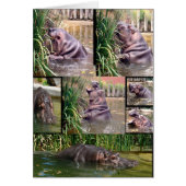 Hippo Photo Collage, (Front)