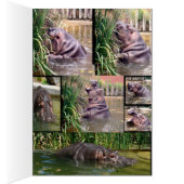 Hippo Photo Collage, (Inside (Right))